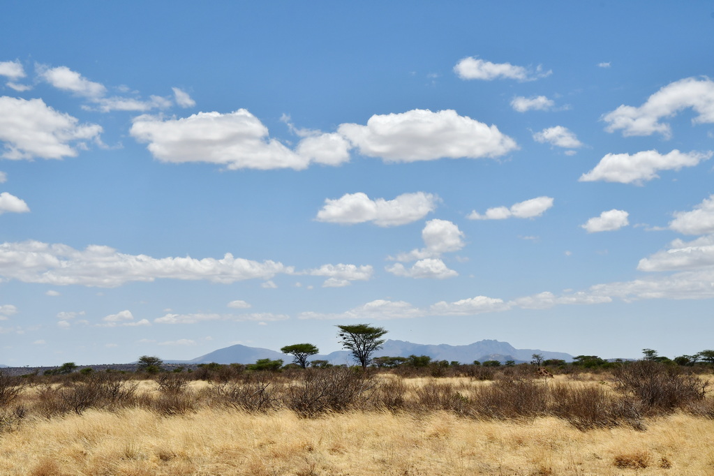 Buffalo Springs Nat. Reserve
